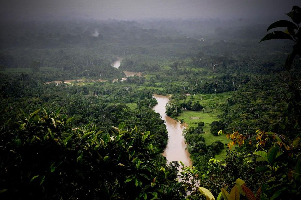 Manu National Park 3 Days - Wildlife Encounters