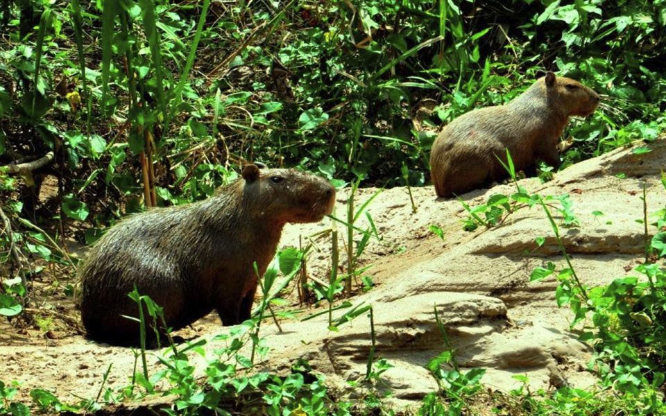 Manu National Park 4D/3N Ecotourism and Adventure - Day 1: Exploring Paucartambo