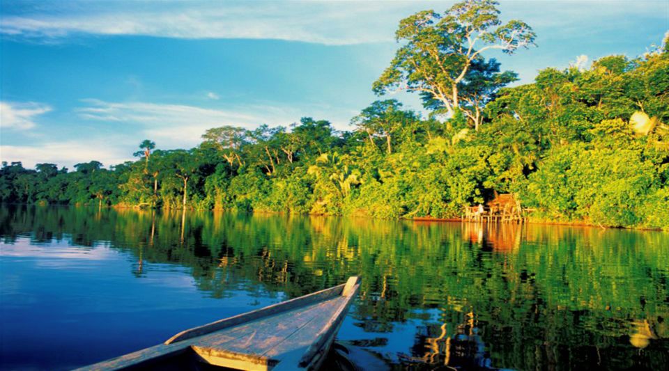 Manu Rainforest Tour 6 Days - Experience Highlights and Accommodation