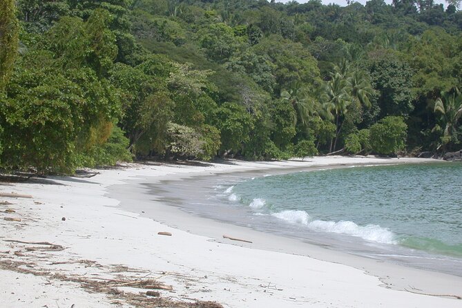 Manuel Antonio National Park Full Day Tour From San Jose - Itinerary Highlights