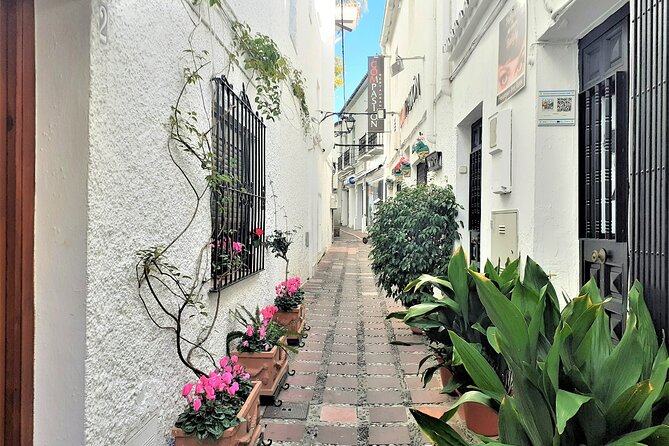 Marbella: Group Walking Tour - Booking Information and Pricing