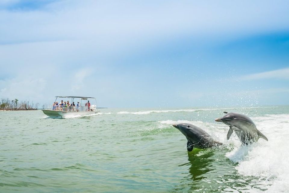 Marco Island: Dolphin-Watching Boat Tour - Experience Highlights