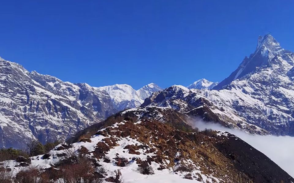 Mardi Himal: 9-Day Trekking Tour With Local Guide - Experience Highlights and Trek Description