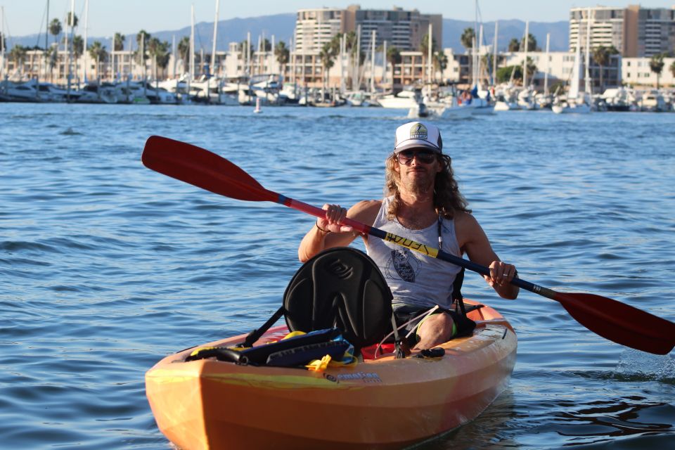 Marina Del Rey: Kayak and Paddleboard Tour With Sea Lions - Experience Highlights