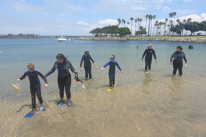 Marine Bio 101 Snorkel in San Diegos Mission Bay - Expert Marine Biologist Guides Tour