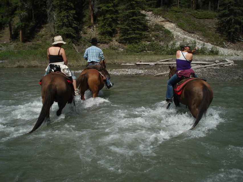 Marmaris National Park: Horse Safari - Experience Highlights