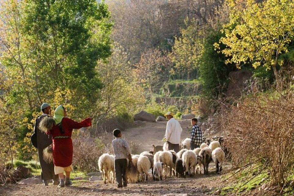 Marrakech: 2 Day Trek Atlas Mountains and Berber Villages - Trekking Experience