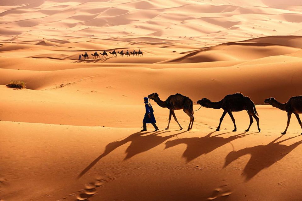 Marrakech: 3-Day Merzouga Desert Tour - Tour Experience