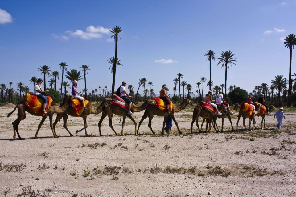 Marrakech 3-Hour Quad Bike & Camel Ride in Palmeraie - Tour Description