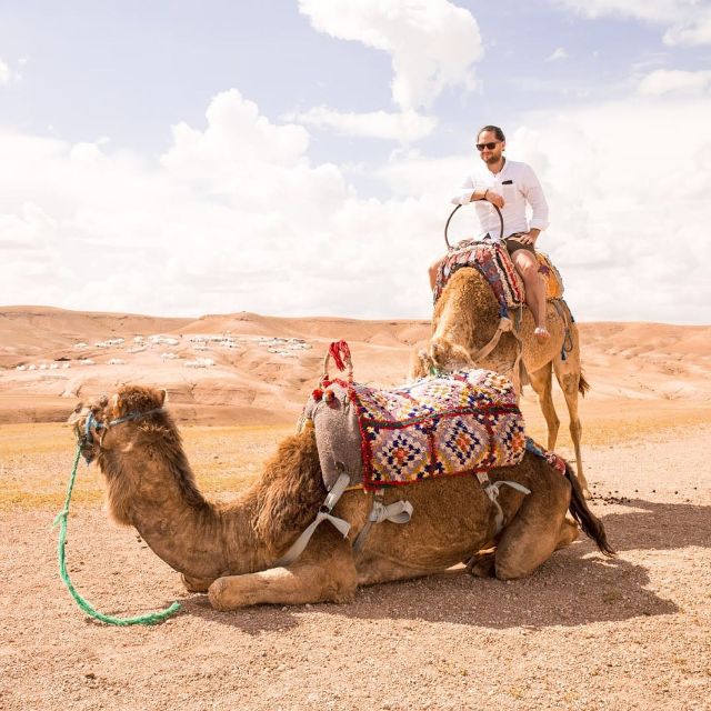 Marrakech: Agafay Desert Dinner With Music and Fire Show - Experience Highlights