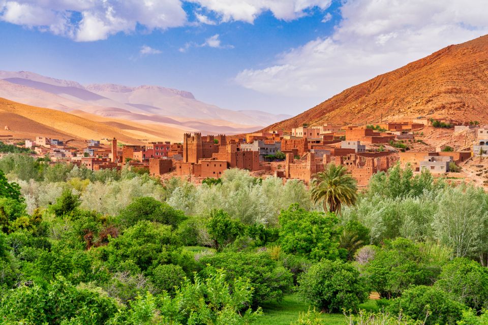 Marrakech: Berber Culture Experience & Atlas Mountains Tour - Customer Reviews