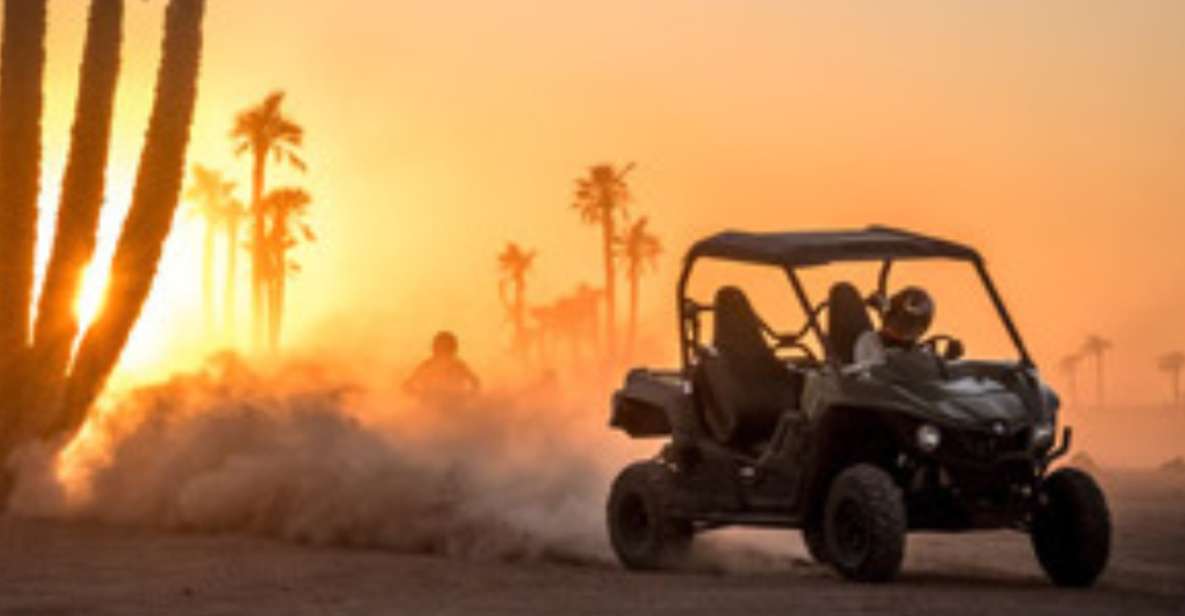 Marrakech: Buggy Drive in the Palm Groves - Experience Highlights