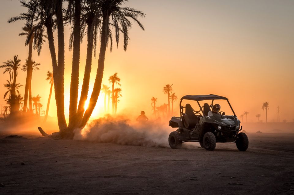 Marrakech: Buggy Ride in the Palm Groves - Experience Highlights