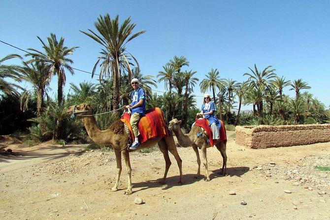 Marrakech Camel Ride at the Palm Groves - Inclusions