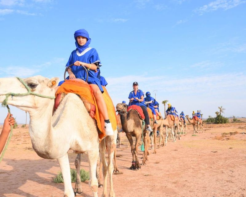 Marrakech Camel Ride in the Oasis Palmeraie - Customer Reviews