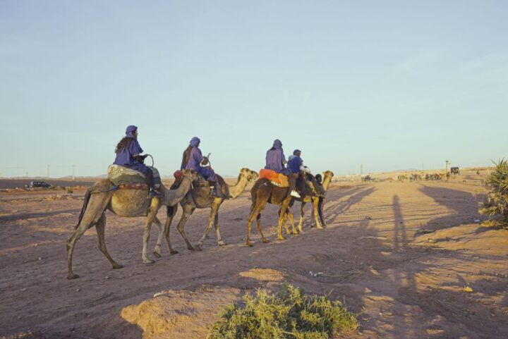 Marrakech Camel Ride in the Oasis Palmeraie and Desert - Thrilling Quad Bike Adventure