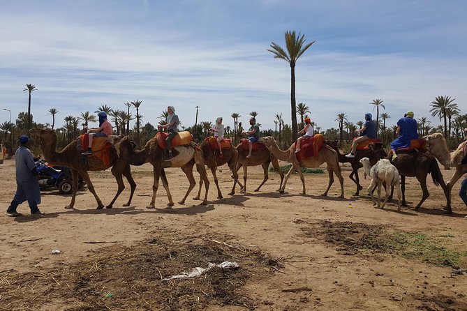 Marrakech Camel Ride in the Oasis Palmeraie - User Experience
