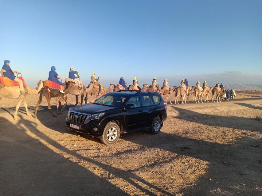 Marrakech: Camel Safari at Agafay Desert With Lunch - Logistics and Duration