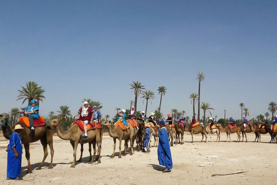 Marrakech: Camel Trek - Activity Details