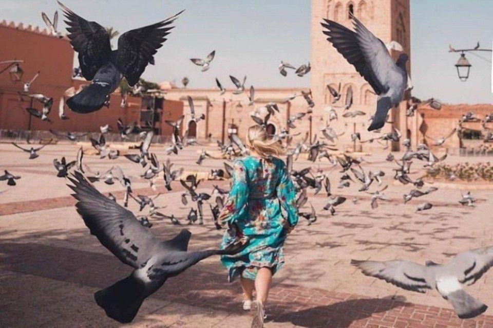Marrakech Captured: Photographic Exploration Tour - Experience Highlights