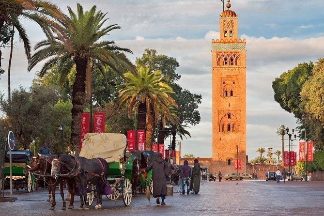 Marrakech City Tour With Private Business Car- Private Experience - Traveler Reviews