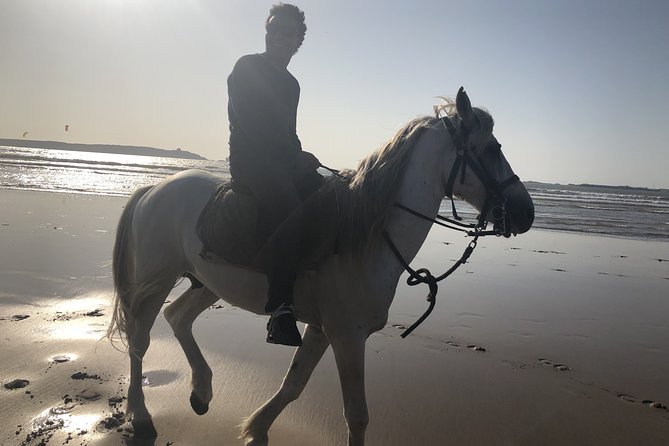 Marrakech Day Trip to Essaouira - Horseback, Camel Ride, ATV on the Beach - Tour Details