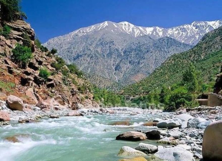 Marrakech: Day Trip to Ourika Valley and Setti Fadma - Experience Highlights