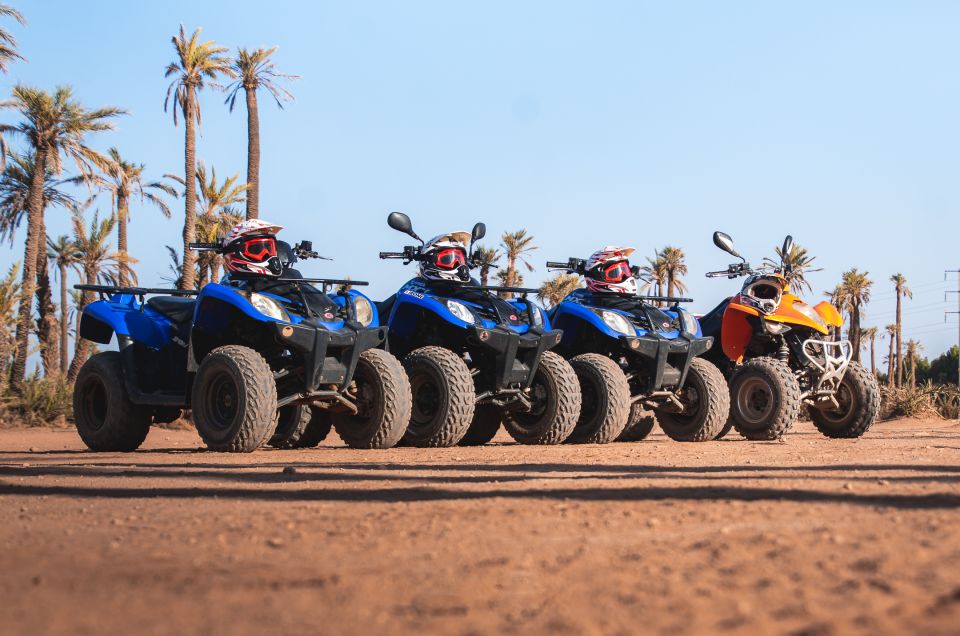 Marrakech: Desert and Palm Grove Quad Tour With Tea - Experience Highlights