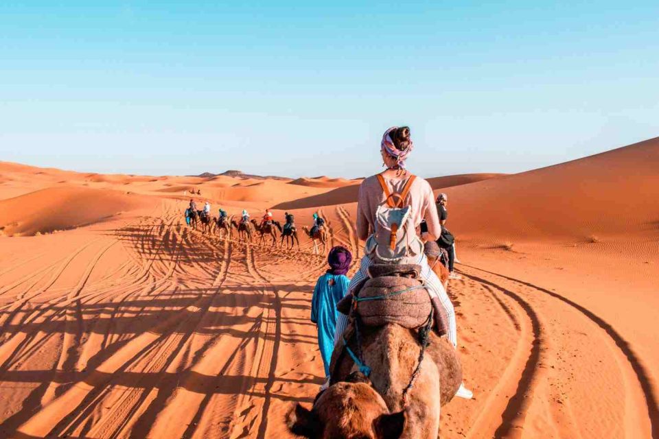 Marrakech: Desert Tours 3 Days to Fes - Inclusions and Exclusions