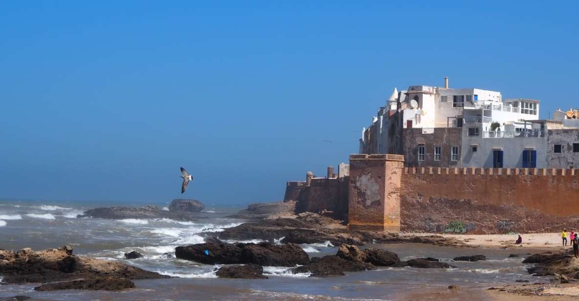 Marrakech: Essaouira Day Trip With Transfers and Co-Op Visit - Experience Highlights