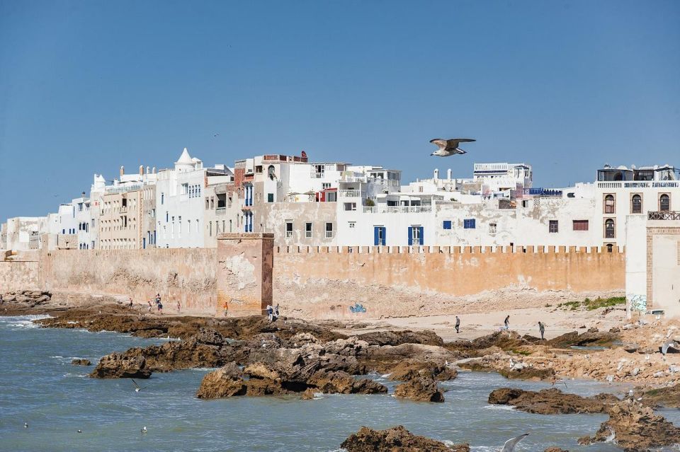 Marrakech: Guided Day Trip to Essaouira With Co-Op Visit - Inclusions and Cancellation Policy