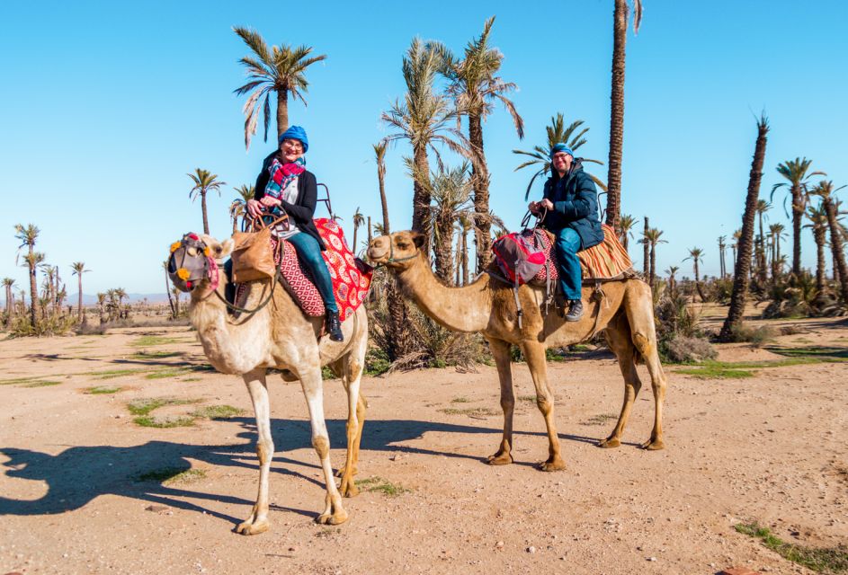 Marrakech: Half-Day Desert Quad & Dromedary Tour - Experience Highlights