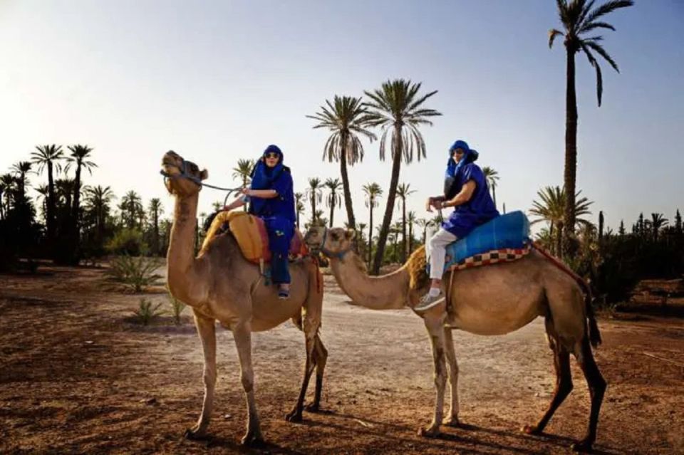 Marrakech Half Day Tour: Camel Ride And Quad Biking - Adventure Description