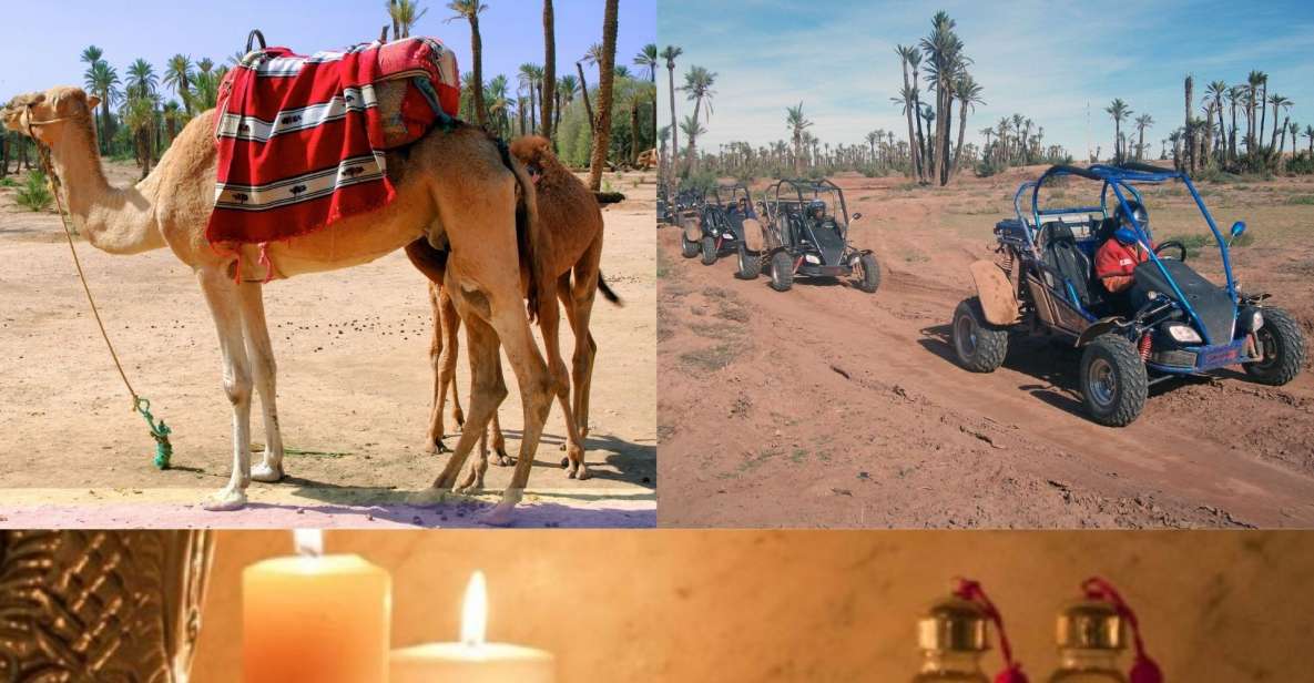 Marrakech: Half-Day Tour With Buggy Ride, Camel Ride and Spa - Buggy Ride Experience