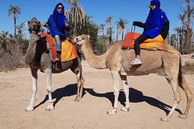 Marrakech Luxery Sunset Camel Ride - Additional Notes