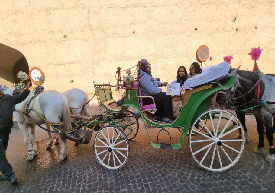 Marrakech: Majorelle & Menara Gardens Tour & Carriage Ride - Experience Highlights