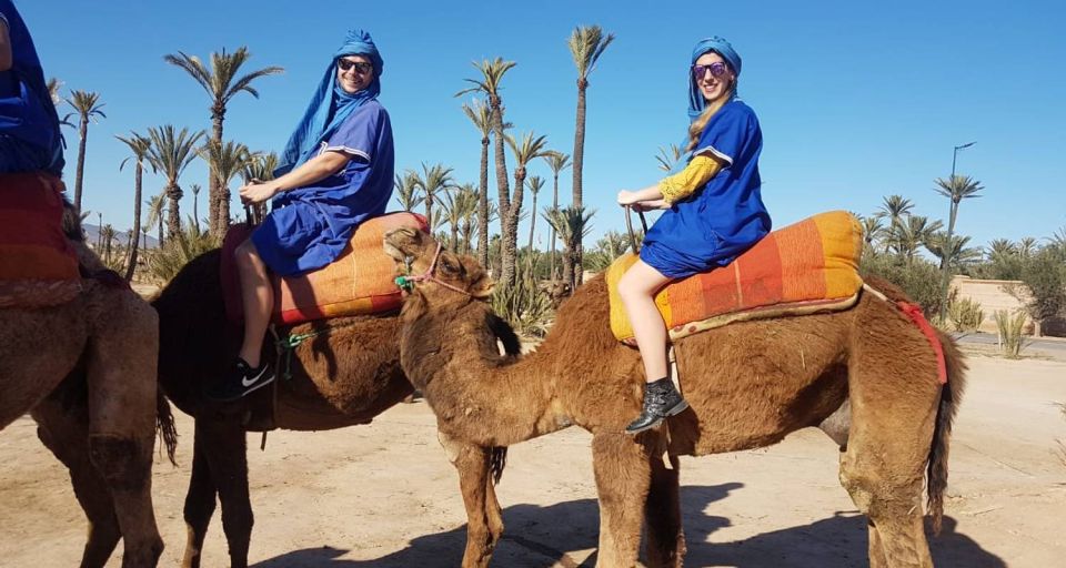 Marrakech: Menara, Secret Gardens Tour With Camel Ride - Experience Highlights