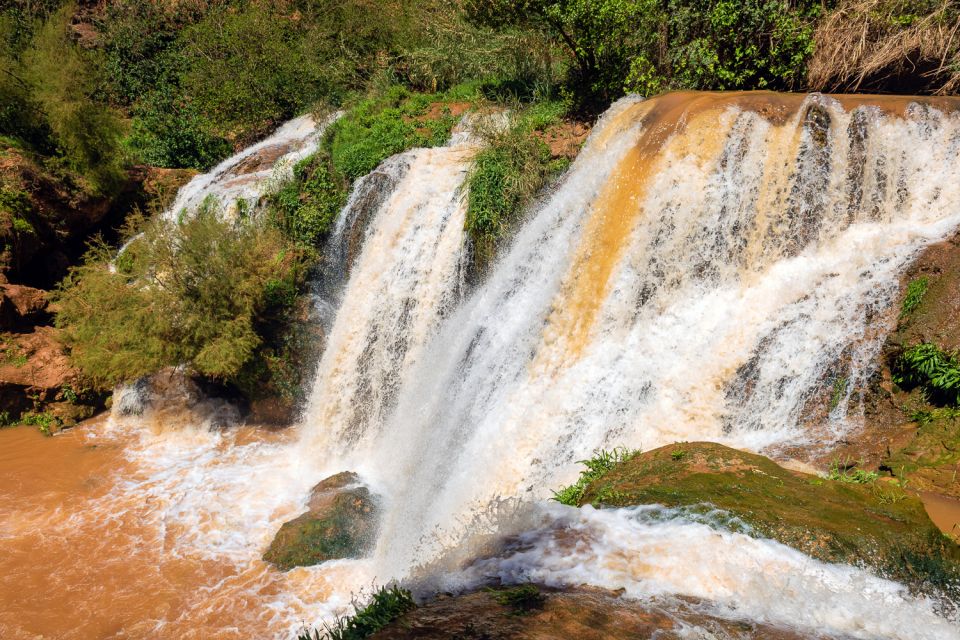 Marrakech: Ouzoud Waterfalls Day-Trip - Experience Highlights