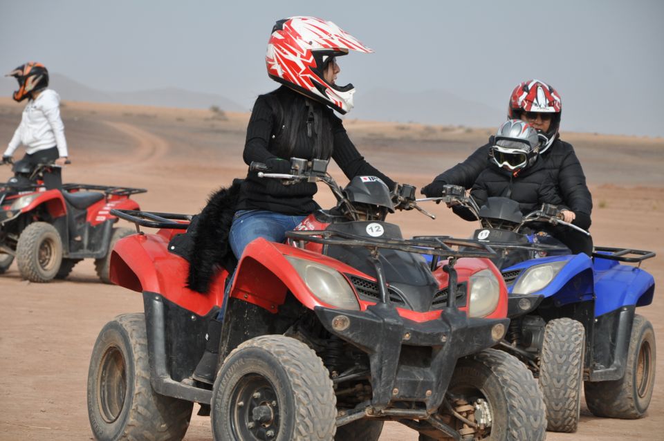 Marrakech: Pack Quad and Camel Ride in the Palm Grove - Customer Reviews