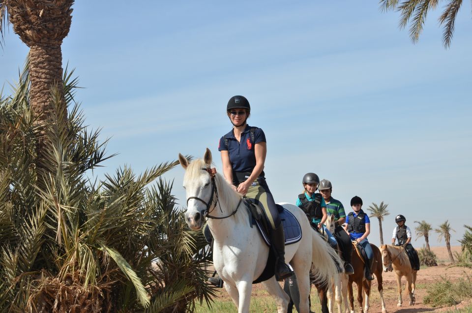 Marrakech: Palm Grove Horseback Riding Tour - Experience Highlights