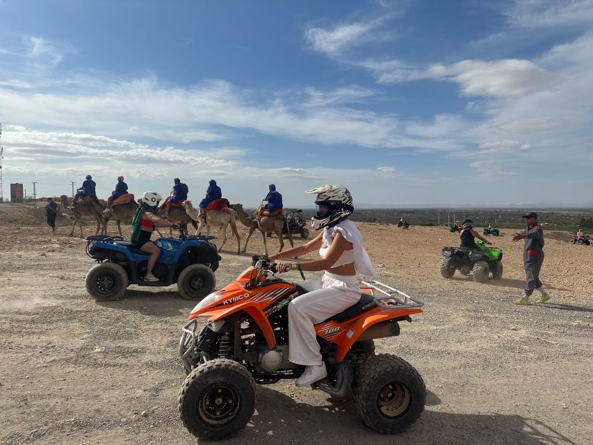 Marrakech: Palm Grove Package, Quad & Camel, Tea & Transfert - Activity Highlights for Adventure