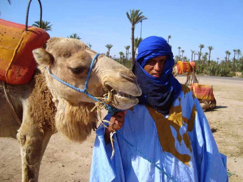 Marrakech Palmeraie: Camel Ride at Sunset - Highlights of the Camel Ride