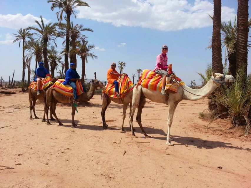 Marrakech Palmeraie : Camel Ride in the Oasis With Tea - Pickup and Drop-off