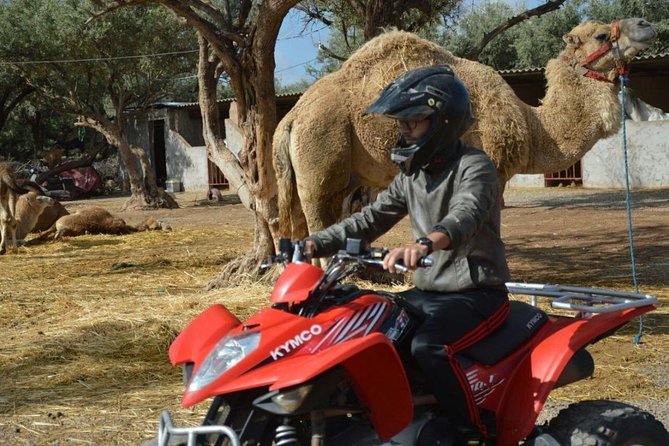 Marrakech Palmeraie Quad Bike Desert Adventure - Cancellation Policy