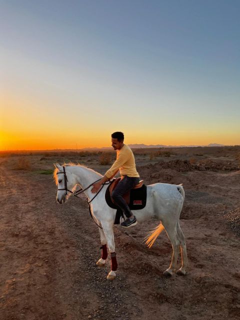 Marrakech: Private Horseback Ride in the Palm Grove With Tea - Experience Highlights