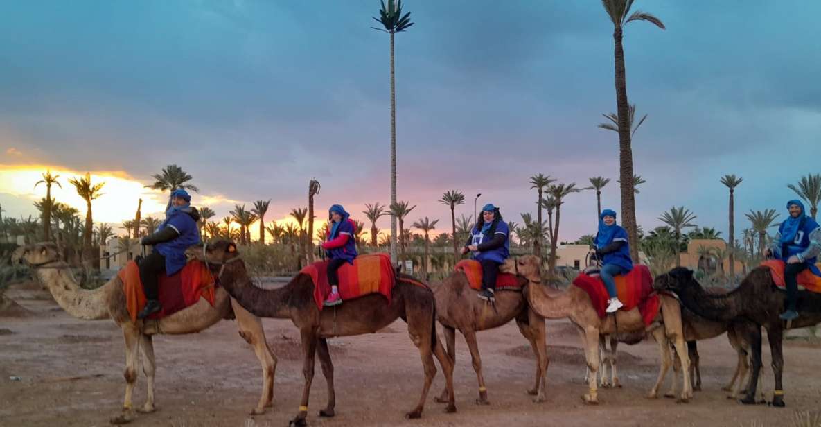 Marrakech: Private Palm Grove Camel and Quad Bike Ride - Experience Highlights