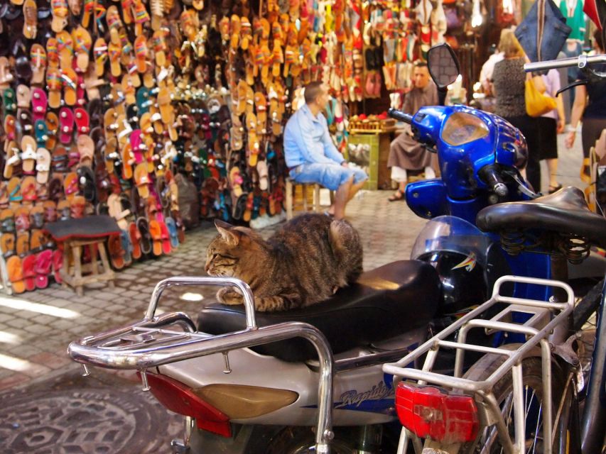 Marrakech Private Tour With a Local Guide - Experience Highlights in Marrakech