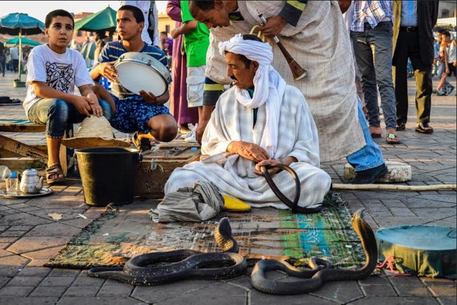 Marrakech Souks & Monuments : Private Guided Tour - Meeting and Pickup Information