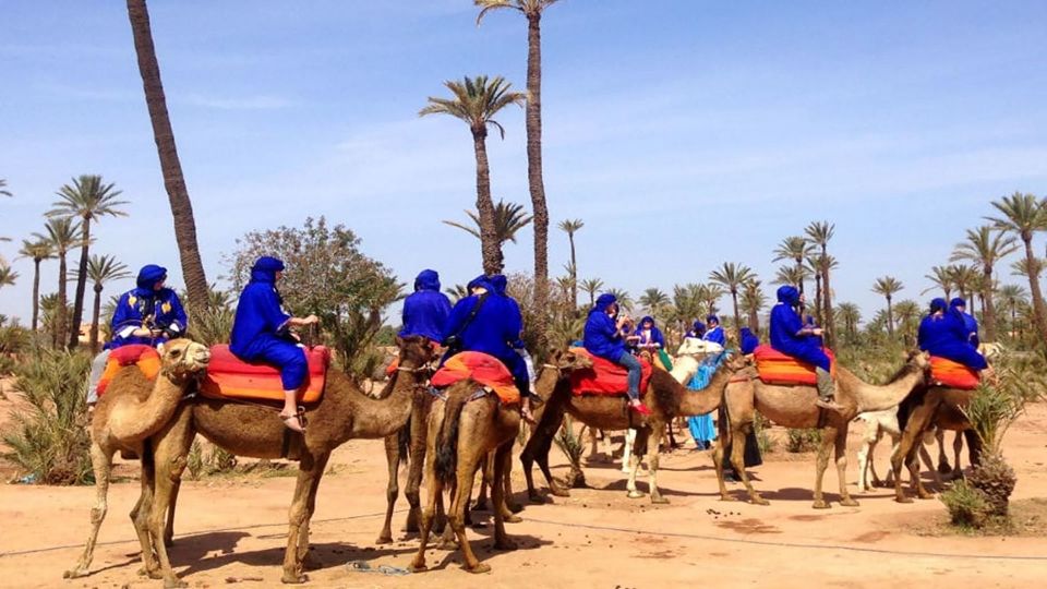 Marrakech: Sunset Camel Ride in Palmeraie - Key Points