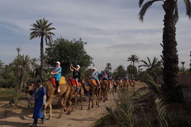 Marrakech Sunset Camel Ride in the Palm Groves - Cancellation Policy